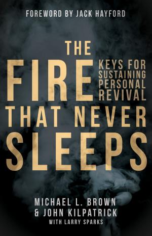 Book cover of The Fire that Never Sleeps