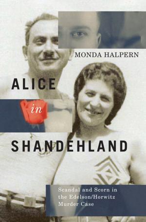 Cover of the book Alice in Shandehland by Jarrett A. Carty