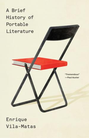 Cover of the book A Brief History of Portable Literature by Dylan Thomas