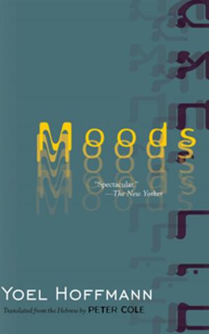 Cover of the book Moods by Rabee Jaber