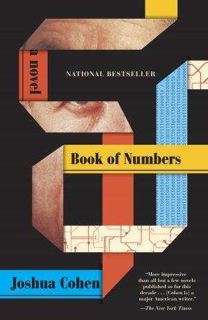 Cover of the book Book of Numbers by Sean Stewart