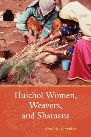 Cover of the book Huichol Women, Weavers, and Shamans by Paul Berkowitz