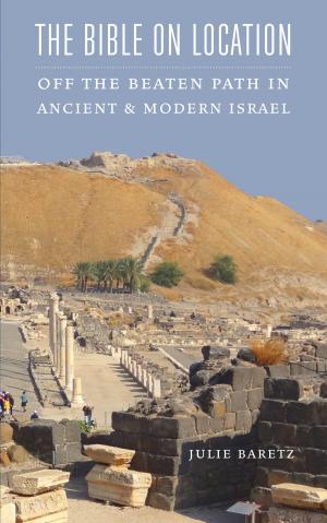 Cover of the book The Bible on Location by Rabbi David Silber