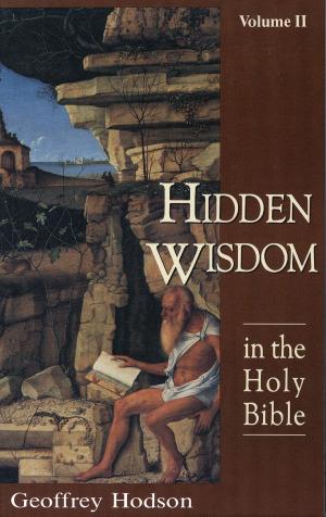 Cover of the book Hidden Wisdom in the Holy Bible by Aryel Sanat