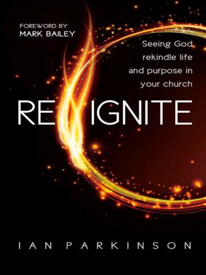 Cover of the book Reignite by Waliya Yohanna Joseph