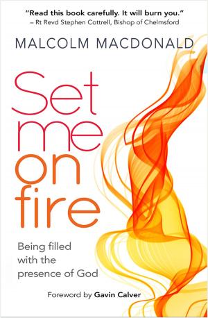 Cover of the book Set Me on Fire by Peter Newman