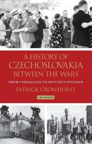 Cover of the book A History of Czechoslovakia Between the Wars by Spyridon Plakoudas