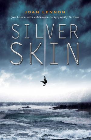 Cover of the book Silver Skin by Liz Lochhead