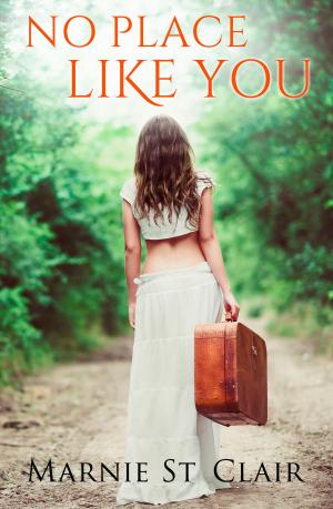 Cover of the book No Place Like You by LizAnn Carson