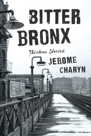 Cover of the book Bitter Bronx: Thirteen Stories by Ari Herstand