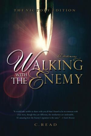 Cover of the book Walking With the Enemy by Donald Lett