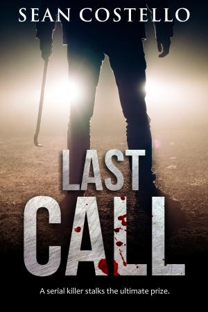 Cover of the book Last Call by Jennifer Brown