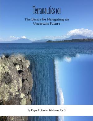Cover of the book Terranautics 101: the Basics for Navigating an Uncertain Future by Stephen S. Nazarian