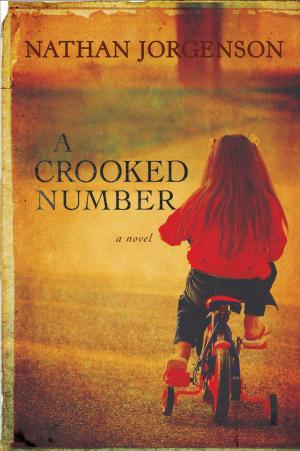 Cover of the book A Crooked Number by Linda Taylor