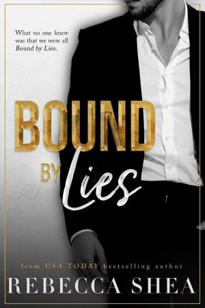 Cover of the book Bound by Lies by SK Lessner