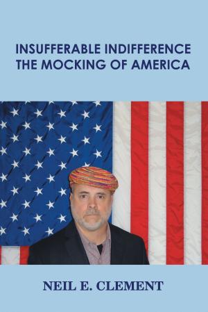 bigCover of the book Insufferable Indifference: The Mocking of America by 