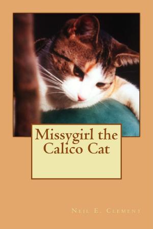 Cover of the book Missygirl the Calico Cat by Seungsook Yang