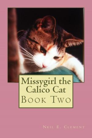 Cover of Missygirl the Calico Cat Book Two