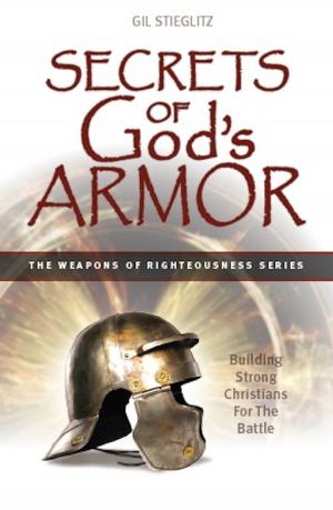 Book cover of Secrets of God's Armor