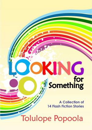 Cover of the book Looking For Something by Maria Haskins
