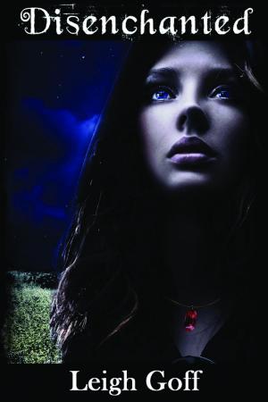 Cover of the book Disenchanted by Devlin Richards