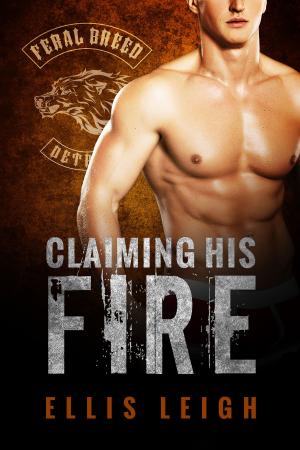 Cover of the book Claiming His Fire by Kristin Harte