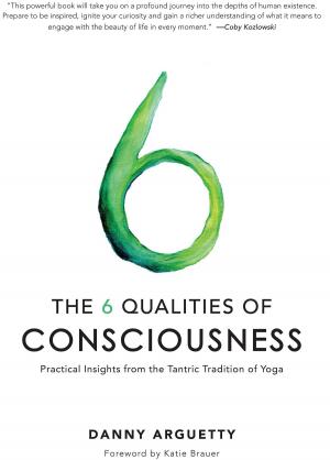 Cover of the book The 6 Qualities of Consciousness by Jairo Avellar