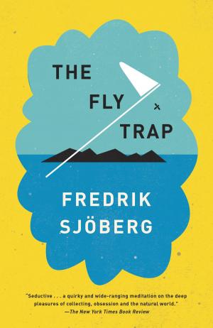 Cover of the book The Fly Trap by Judith Freeman