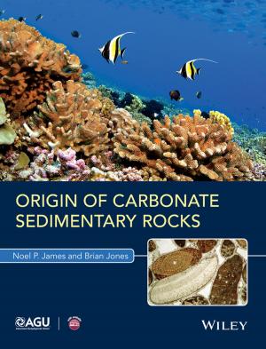 Cover of the book Origin of Carbonate Sedimentary Rocks by Agata Godula-Jopek