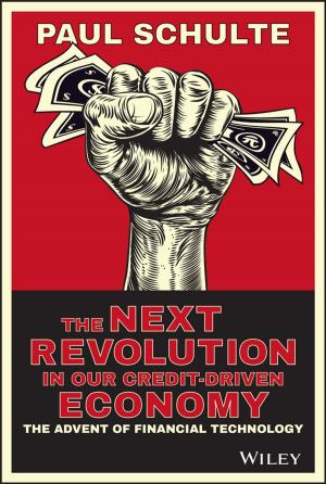 Cover of the book The Next Revolution in our Credit-Driven Economy by John Paul Mueller, Luca Massaron