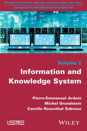 Cover of the book Information and Knowledge System by K. C. Flynn