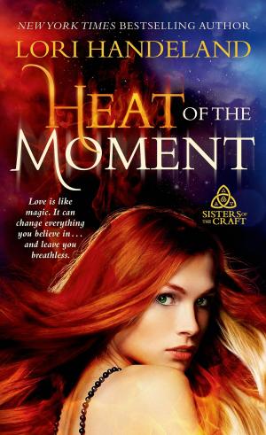 Cover of the book Heat of the Moment by Marilyn Nissenson
