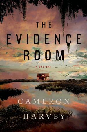Cover of the book The Evidence Room by CD Wilsher