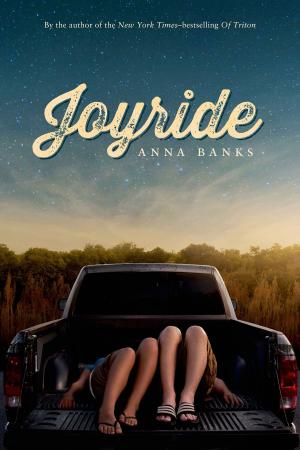 Cover of the book Joyride by Ann Aguirre
