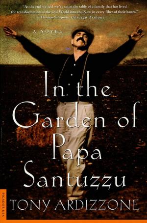 Cover of the book In the Garden of Papa Santuzzu by Andrew Cowan