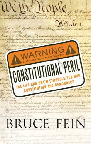 Book cover of Constitutional Peril