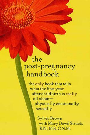 Cover of the book The Post-Pregnancy Handbook by Ann Cleeves