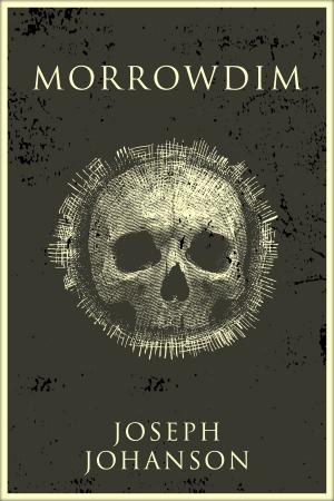 Cover of the book Morrowdim by Thomas A. Ryerson