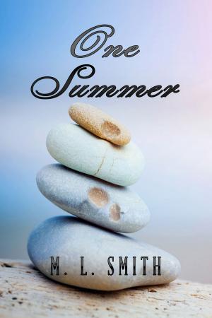 Book cover of One Summer