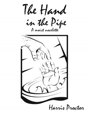 Cover of The Hand in the Pipe