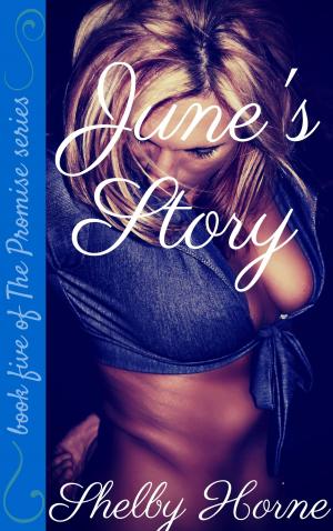 Cover of the book June's Story by Nina Bangs