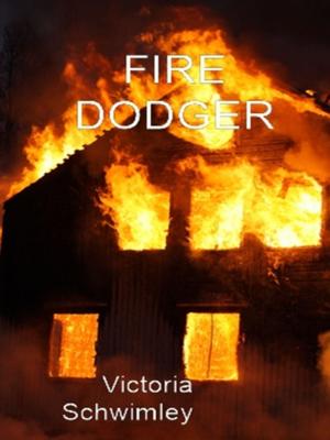 Cover of Fire Dodger