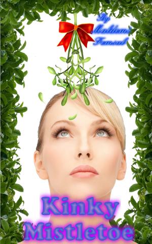 Cover of the book Kinky Mistletoe by Aster Zhen