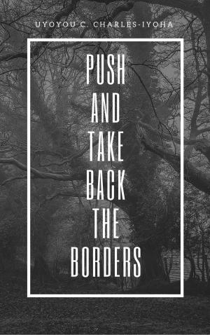 Cover of the book Push and Take Back the Borders by Jean Illsley Clarke