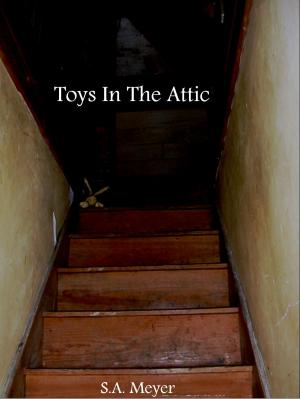 Book cover of Toys In The Attic