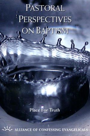Cover of the book Pastoral Perspectives on Baptism by Jeffrey Stivason