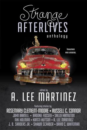 Book cover of Strange Afterlives
