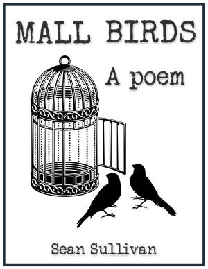 Cover of the book Mall Birds by Cheyene Montana Lopez
