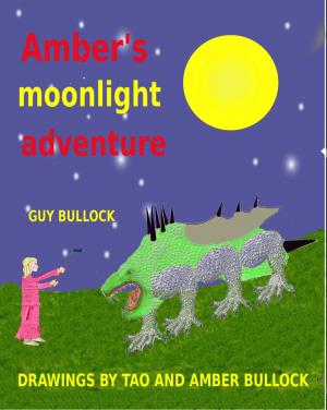 Book cover of Amber’s Moonlight Adventure