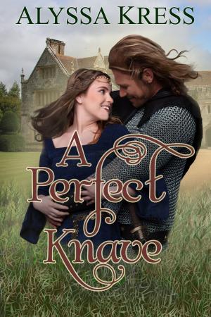 Cover of the book A Perfect Knave by Alyssa Kress
